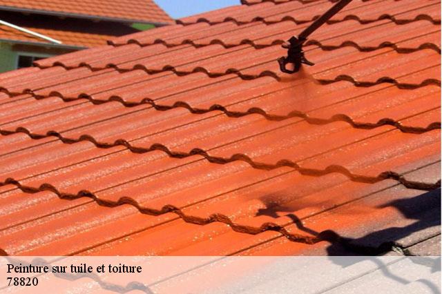 Peinture sur tuile et toiture 78820