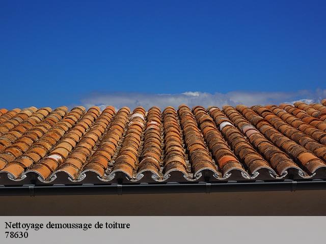 Nettoyage demoussage de toiture 78630