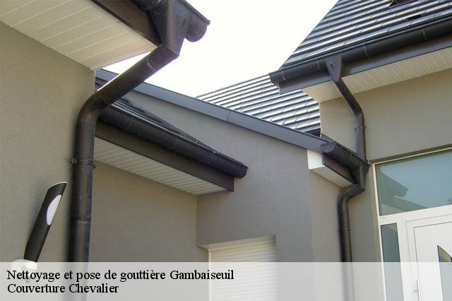 Nettoyage et pose de gouttière  gambaiseuil-78490 Couverture Chevalier