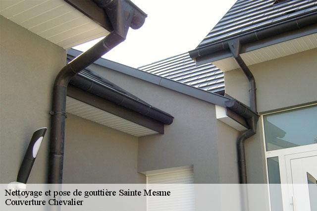 Nettoyage et pose de gouttière  sainte-mesme-78730 Couverture Chevalier